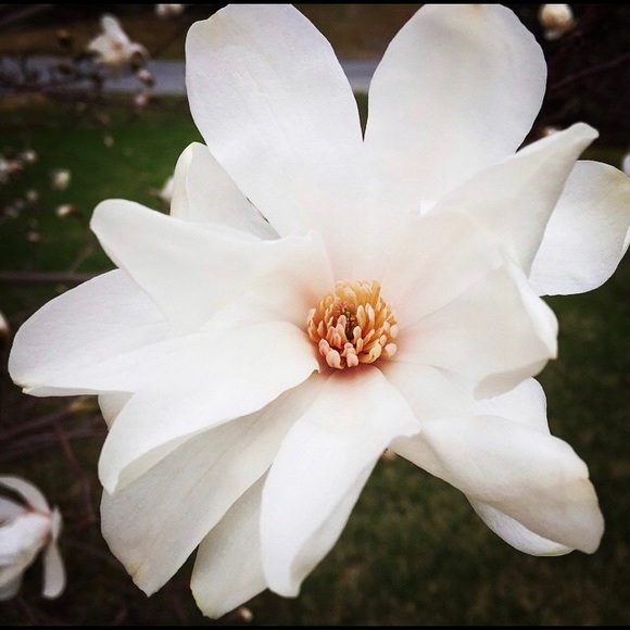 Meet your Posher, Karla - Picture 5 of 6